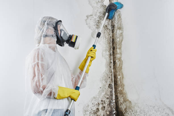 Best Emergency Mold Removal  in Crandon Lakes, NJ