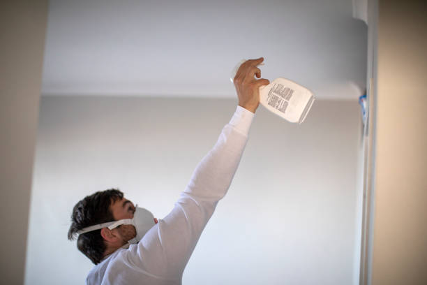 Best Mold Cleaning Services  in Crandon Lakes, NJ
