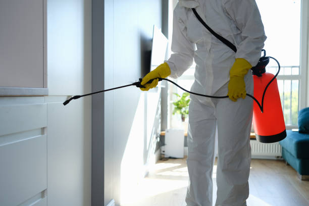 Trusted Crandon Lakes, NJ Mold Removal Experts