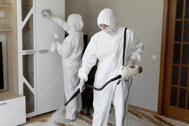 Best Mold Remediation Services  in Crandon Lakes, NJ