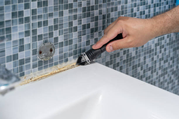 Best Best Mold Removal Companies  in Crandon Lakes, NJ