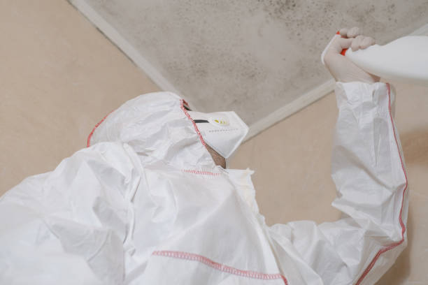 Best Mold Testing  in Crandon Lakes, NJ